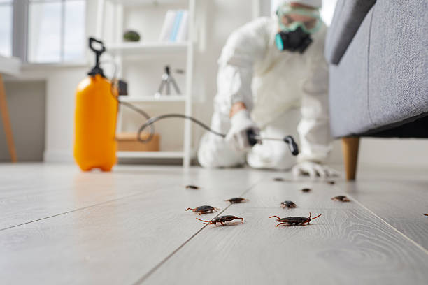 Commercial Kitchen Cockroach Control in Woodruff